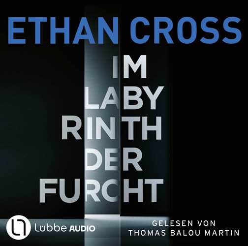 Ethan Cross - Im Labyrinth der Furcht_hoerbuch